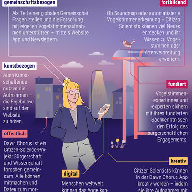 infografik impasto tom kretschmer dawn chorus infografik 2.jpg