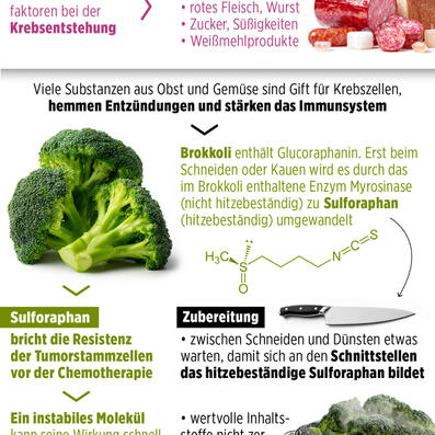 infografik impasto tom kretschmer krebs brokkoli 01tk.jpg