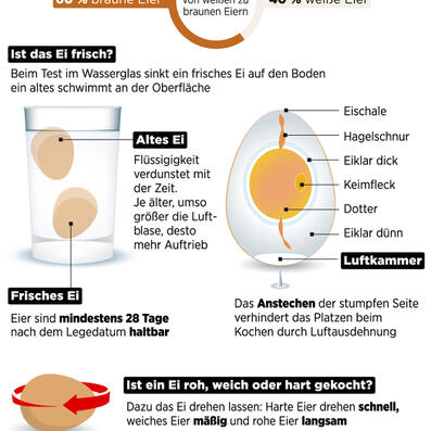 infografik impasto tom kretschmer rund ums ei 01tk.jpg