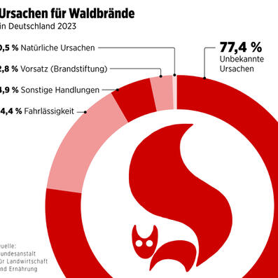infografik impasto tom kretschmer waldbrand 01tk.jpg